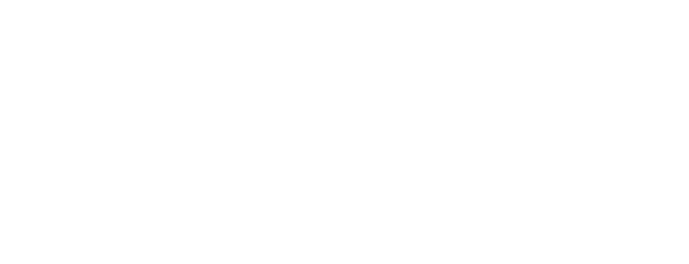 DeepSeek